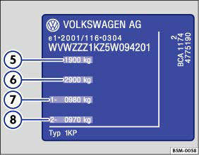 Abb. 2 Prinzipdarstellung: Typschild bzw. Fabrikschild.